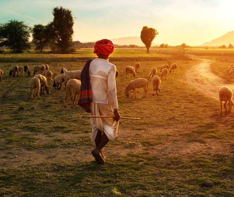 Rural Rajasthan countryside tour